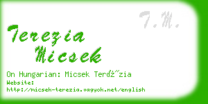 terezia micsek business card